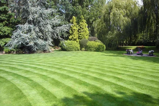 Greener Gardens photo 7