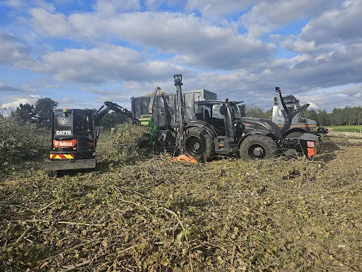 Catts Tree Care photo 1