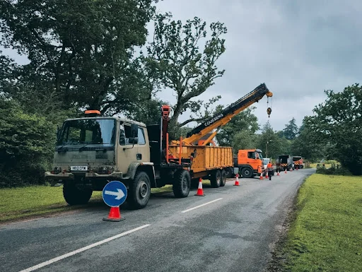 Catts Tree Care photo 2