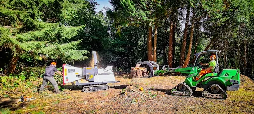 Catts Tree Care photo 3