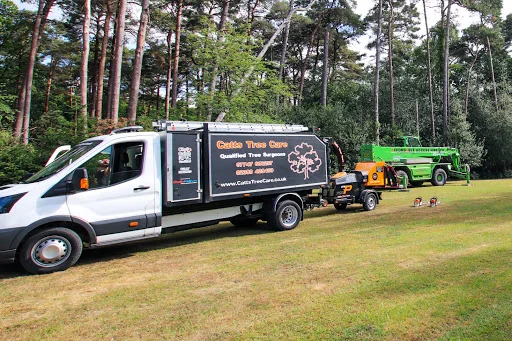 Catts Tree Care photo 4