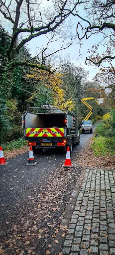 Catts Tree Care photo 5