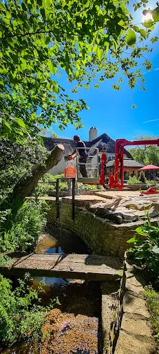 Catts Tree Care photo 7