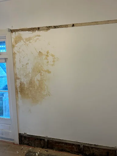 Ben Butler Damp Proofing &amp; Timber Care photo 3