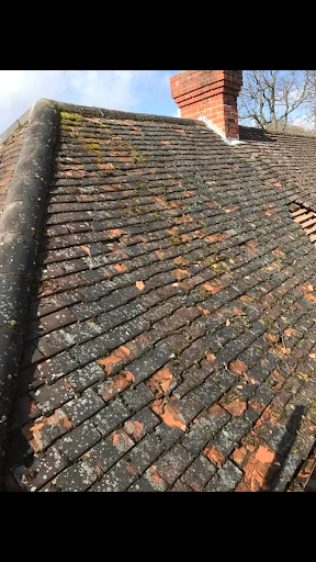 ASAP Roofing &amp; Exterior Maintenance photo 3