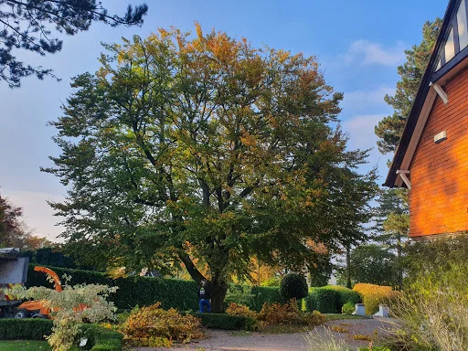 Easton Tree Services photo 1