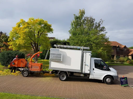 Easton Tree Services photo 3