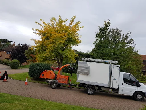 Easton Tree Services photo 4