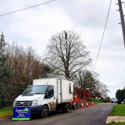 Easton Tree Services photo 5