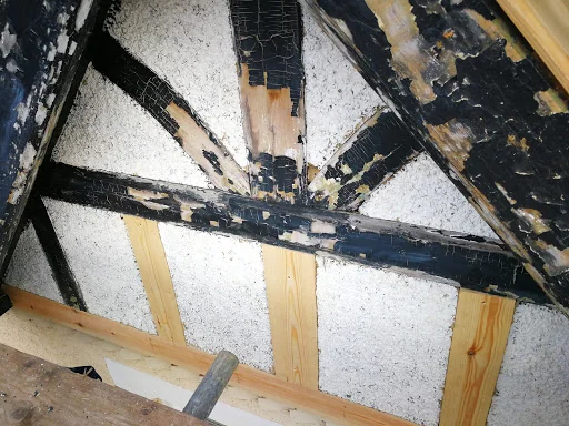 Timothy Sutton Decorating Ltd photo 3