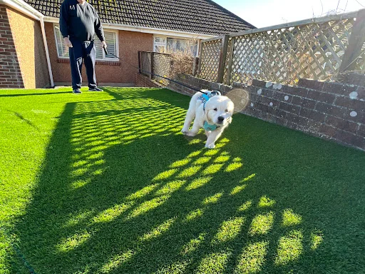 Plymouth Block Paving photo 3
