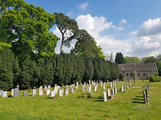 The Tree Works photo 1