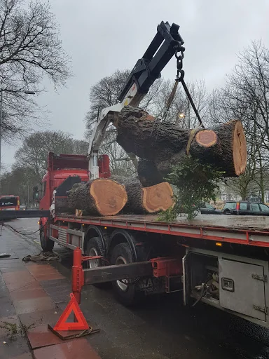 The Tree Works photo 4