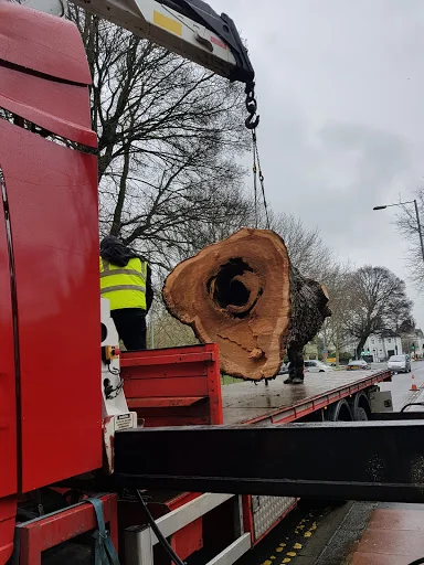 The Tree Works photo 6