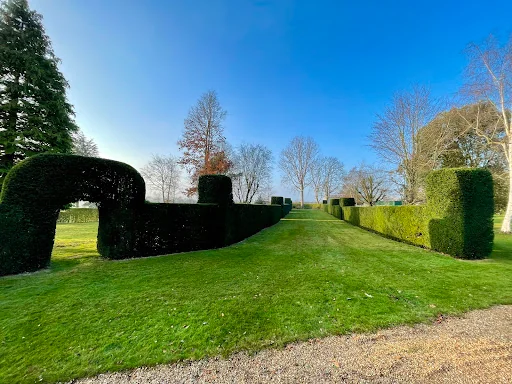 Tree Solutions Midlands Ltd photo 1