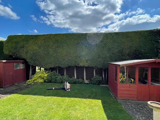 Tree Solutions Midlands Ltd photo 2