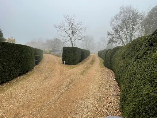 Tree Solutions Midlands Ltd photo 3