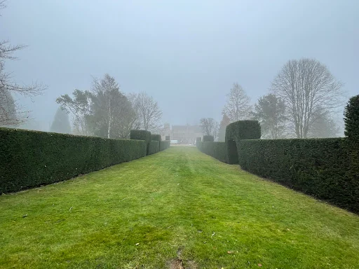 Tree Solutions Midlands Ltd photo 4