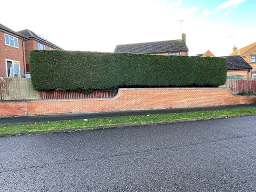 Tree Solutions Midlands Ltd photo 8