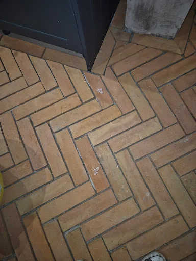 Tile Pro Northeast photo 1