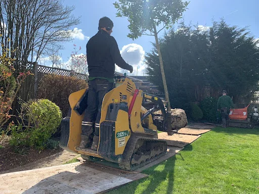 Montrose Trees Ltd photo 6