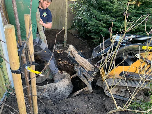 Montrose Trees Ltd photo 7