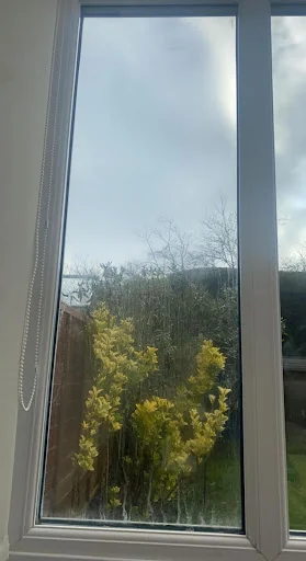 A1 Double Glazing Repairs Ltd photo 1