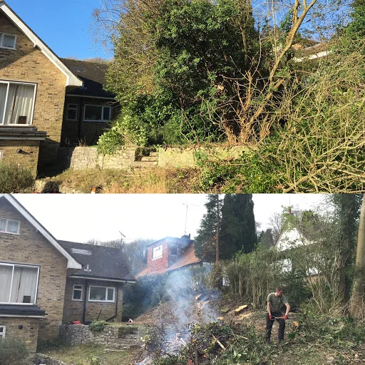 Goddard Tree Surgeons Ltd photo 1