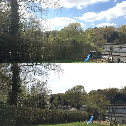 Goddard Tree Surgeons Ltd photo 3