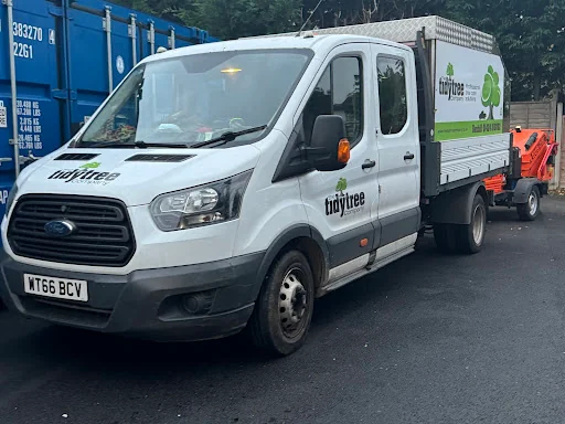 The Tidy Tree Company photo 6