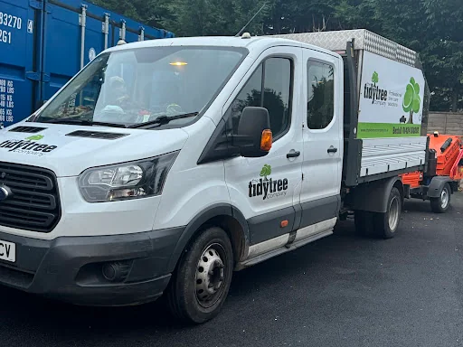The Tidy Tree Company photo 7