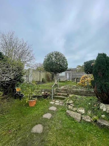 The Tidy Tree Company photo 8