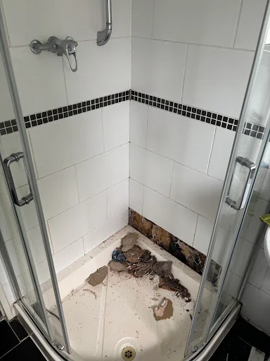 M.C Multitrade photo 1