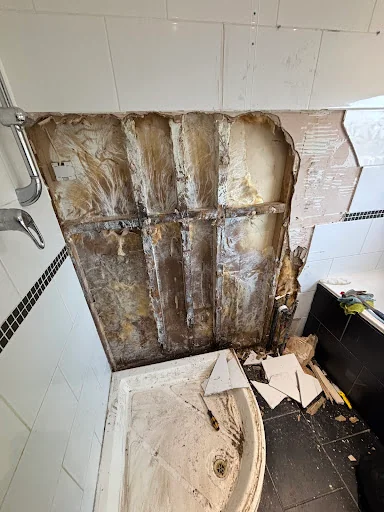 M.C Multitrade photo 2