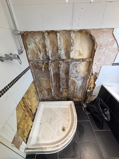 M.C Multitrade photo 3