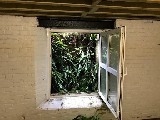 Seamless Preservation photo 4