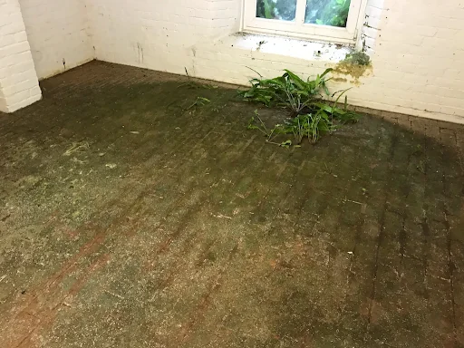 Seamless Preservation photo 5