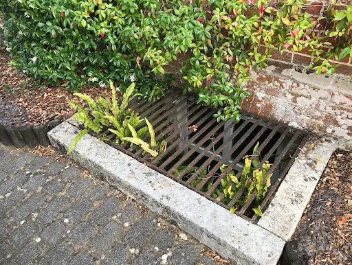 Seamless Preservation photo 7