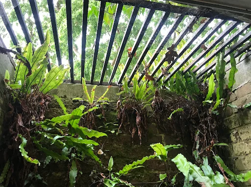 Seamless Preservation photo 8