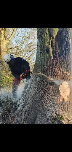 MWU Tree Services photo 3