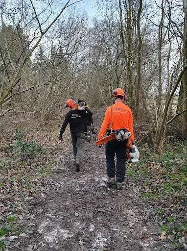 MWU Tree Services photo 6