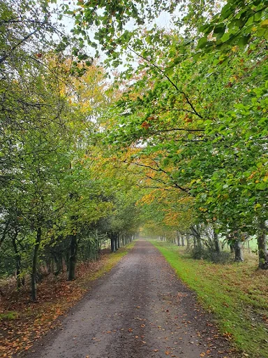 MWU Tree Services photo 7