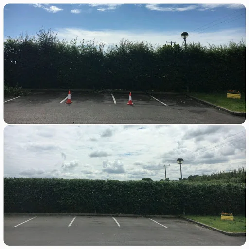 Ockenden Tree Services Ltd photo 1