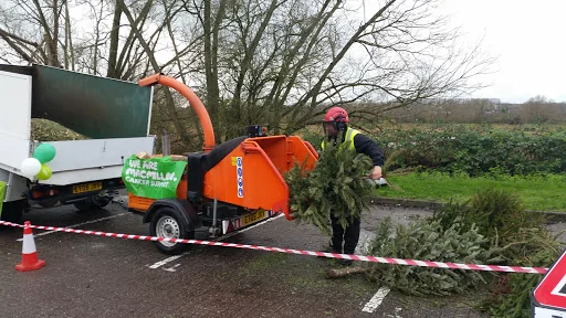 Ockenden Tree Services Ltd photo 7