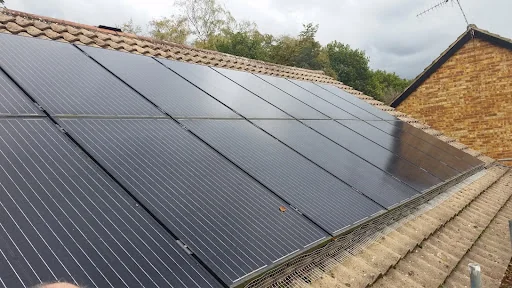 Downland Pest Control photo 1