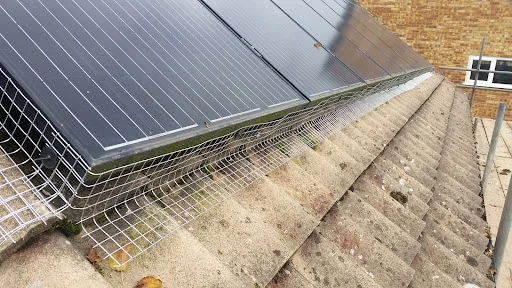 Downland Pest Control photo 2