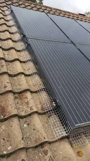 Downland Pest Control photo 3