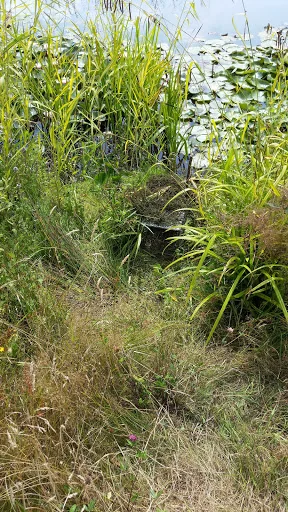 Downland Pest Control photo 5