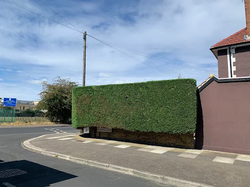 Eastwood Landscaping &amp; Gardening photo 1