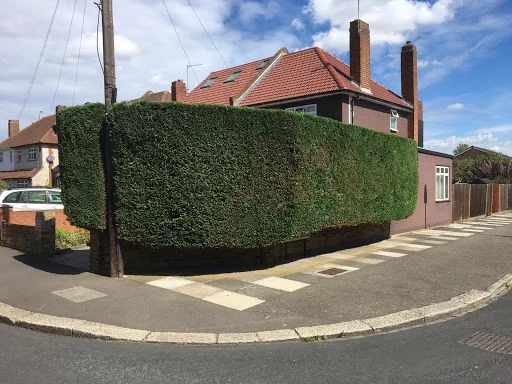 Eastwood Landscaping &amp; Gardening photo 2